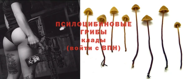 индика Карталы
