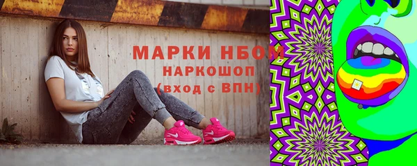 индика Карталы