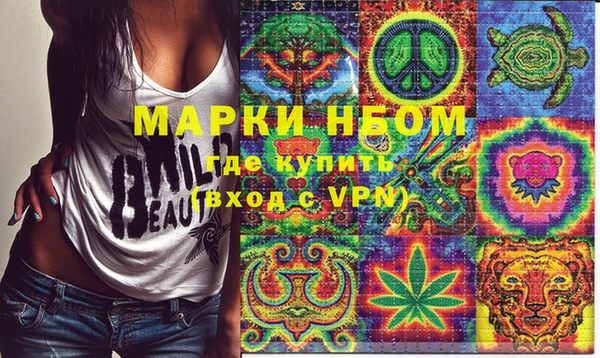 индика Карталы