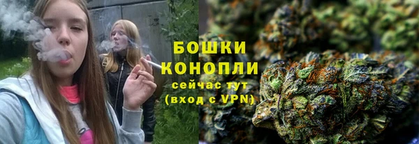 индика Карталы