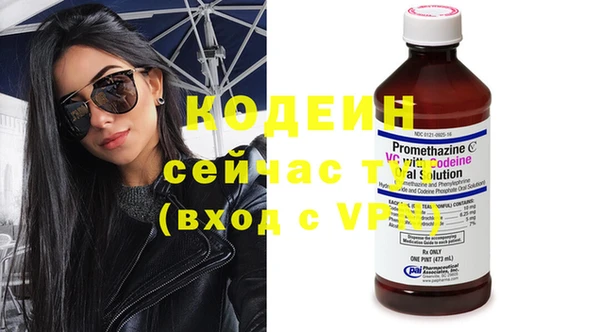индика Карталы
