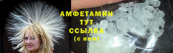 индика Карталы