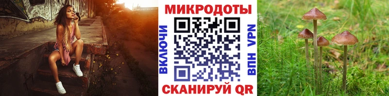 Купить закладки  Полярные Зори  Псилоцибиновые грибы мухоморы 