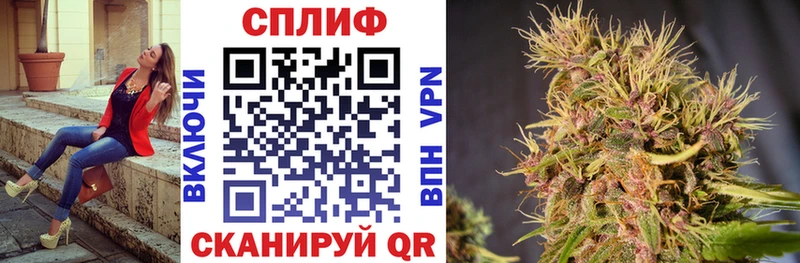 Купить  Полярные Зори  Каннабис OG Kush 